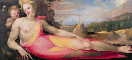 Vénus et Cupidon, c.1519